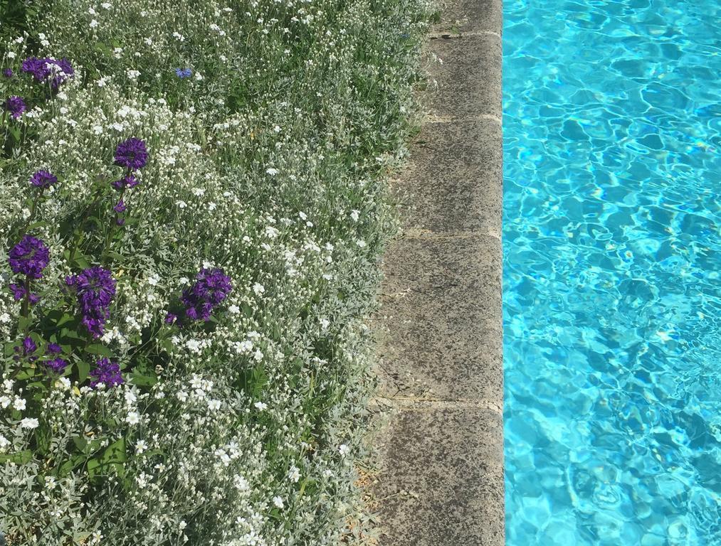 Fleurs De Vignes Piscine Acomodação com café da manhã Montagny-lès-Beaune Exterior foto